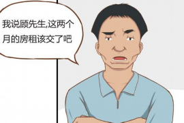 港口为什么选择专业追讨公司来处理您的债务纠纷？